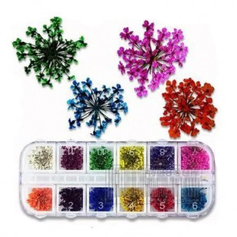 Натуральный высушенный цветок лепесток 3D украшение для ногтей на колесиках