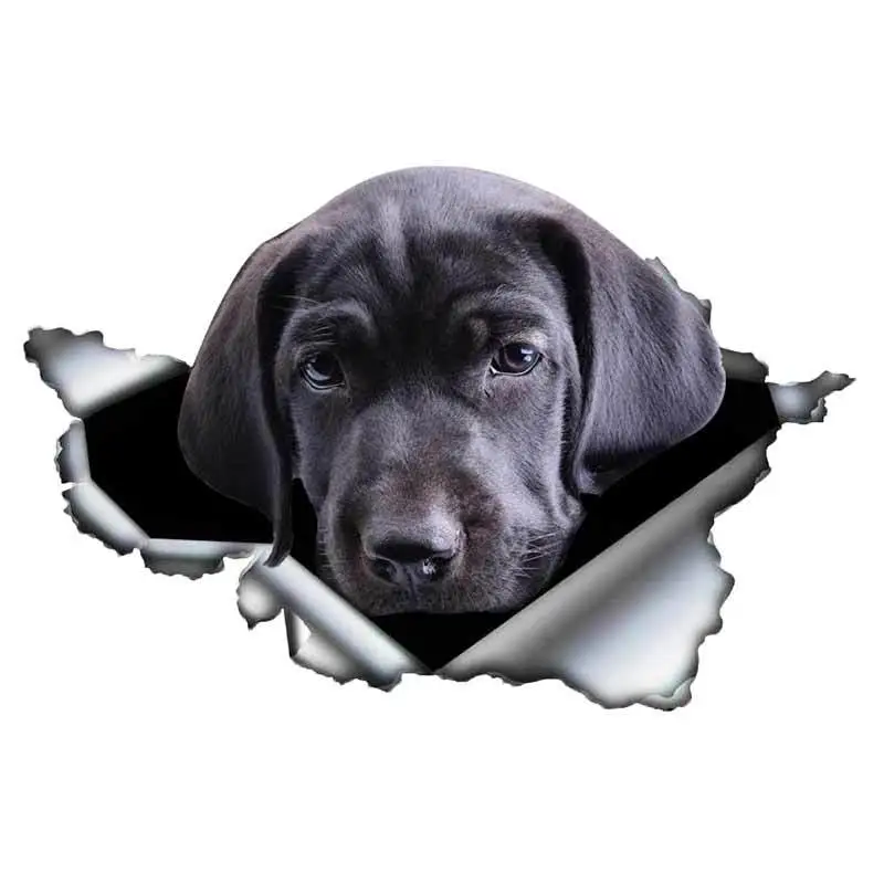 

13cm X 9cm Black Cane Corso Car Sticker Torn Metal Decal Reflective Stickers Waterproof Car Styling Accessories Pet Dog Decals