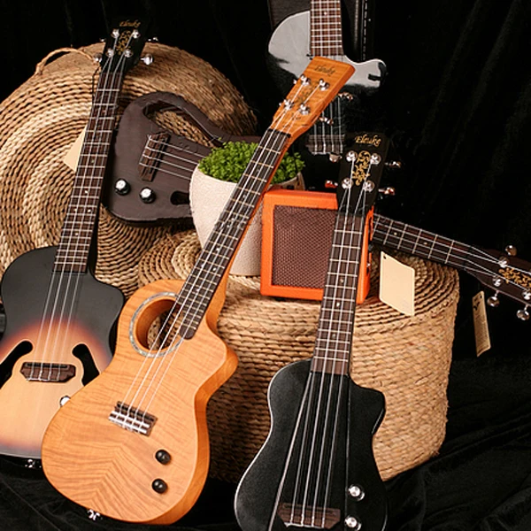 Мини укулеле Высокочувствительный динамик усилителя 3 Вт 9 Вольт с регулятором