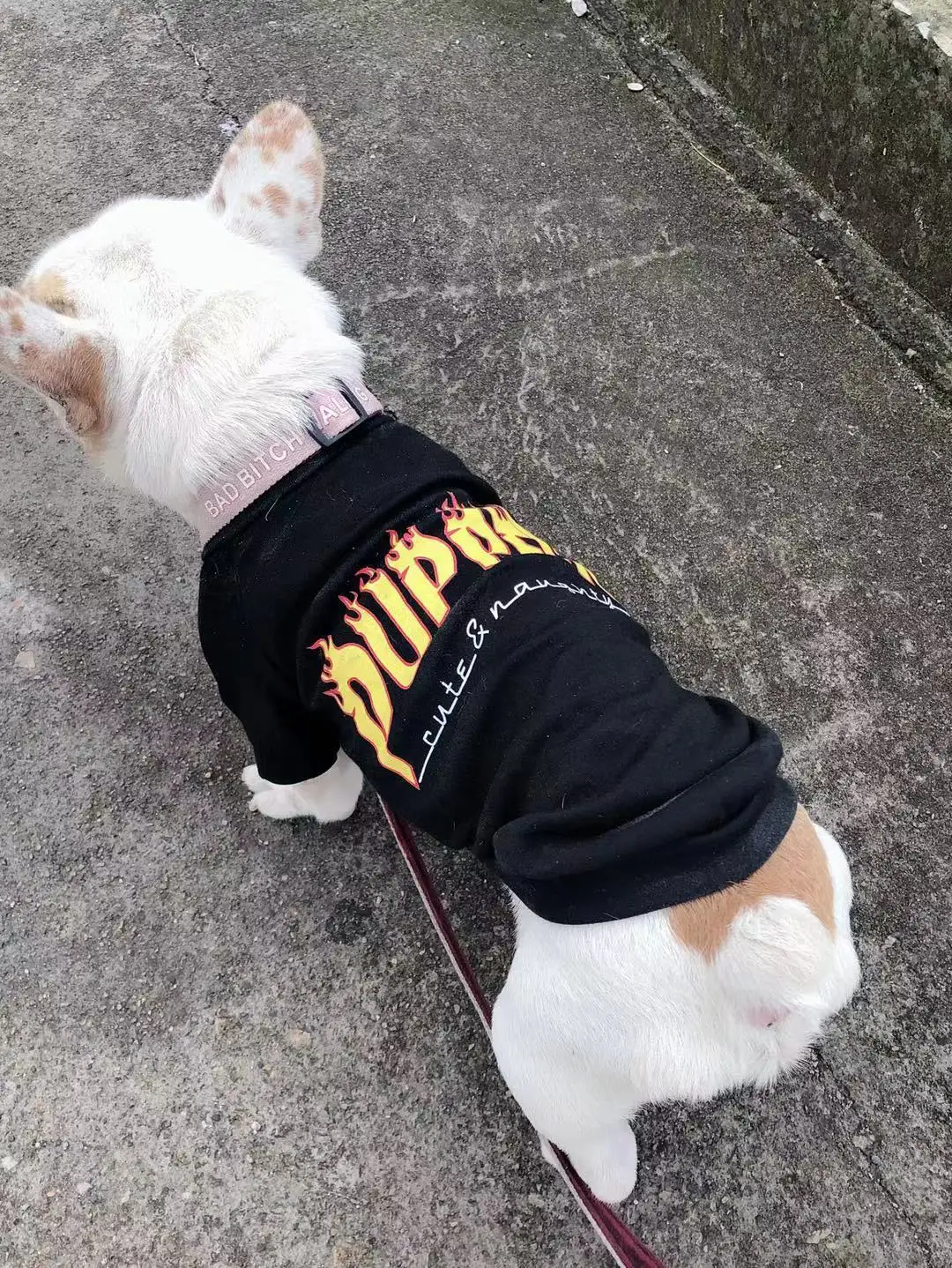 

Small Dog Black Summer T-Shirt Pet Puppy Clothes Cat Coat Outfit Adorable Cozy Apparel Casual Fashion Costume