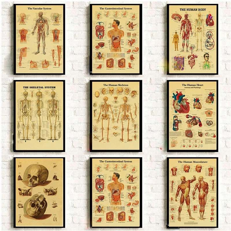 

The Body Structure Skeleton Nervous System Vintage Poster Home Room Decoracion Painting Kraft Paper Posters Art Wall Stickers