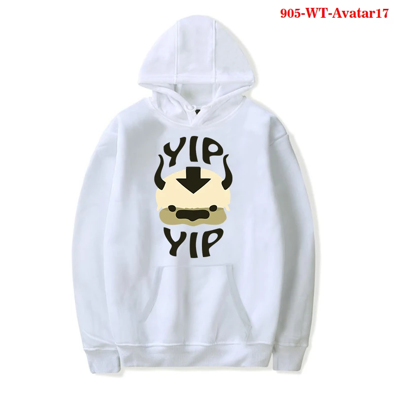 

Man Avatar The Last Airbender Hoody Aang Katara Sweatshirt Brand 2021 Harajuku Pullover Breathable Clothes Hombre Men Clothing