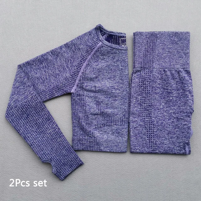 Purple 2Pcs Set Бесшовный Женский комплект из 2 предметов для йоги, одежда для спортзала, леггинсы для фитнеса+ укороченные рубашки, спортивный костюм, женский спортивный костюм с длинным рукавом, одежда для активного отдыха - Цвет: Purple 2Pcs Set