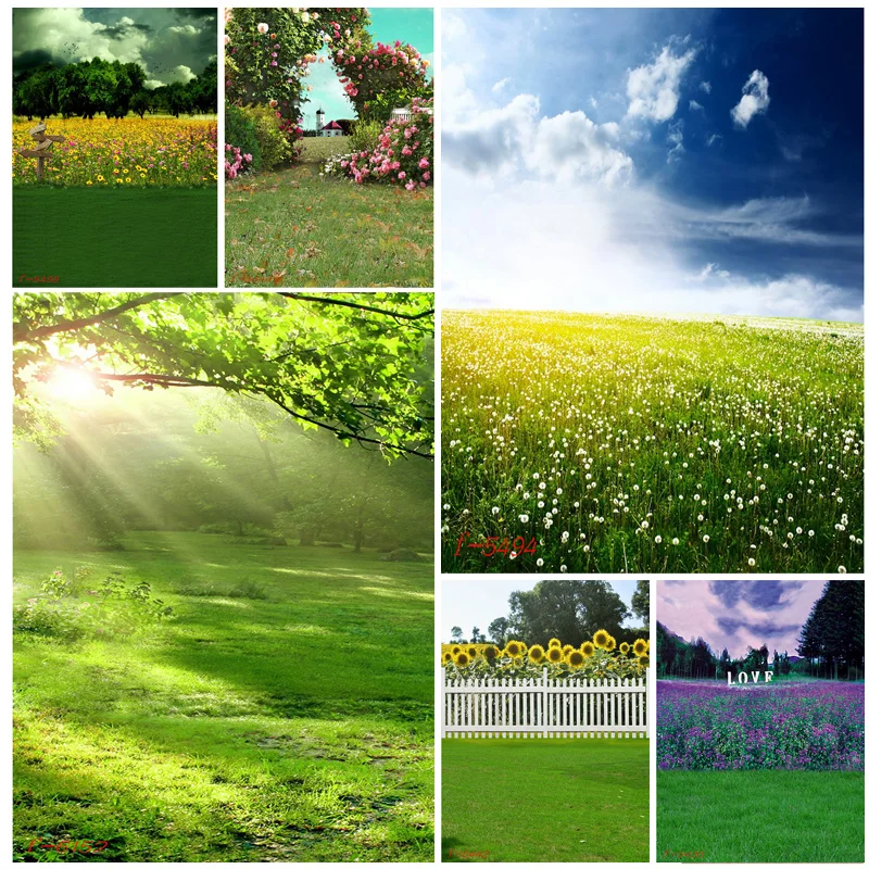 

Natural Scenery Photography Background Meadow Forest Landscape Travel Photo Backdrops Studio Props 21514 AF-32