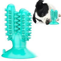 cactus dog toothbrush toy high quality rubber small dog chew toys pet supplies teeth cleaning tools interactive kong dog toy pug