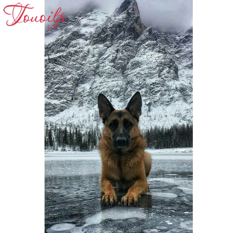 Алмазная 5d-вышивка TOUOILP картина с полными квадратными/круглыми стразами немецкой