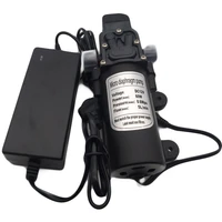 electric micro pump for water sprayer misting system watering mist spray pump for garden supplies fog machine