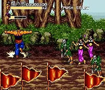 Ян воин Семья 16 бит MD карточная игра для Sega игры Mega Drive Genesis|Картриджи| |