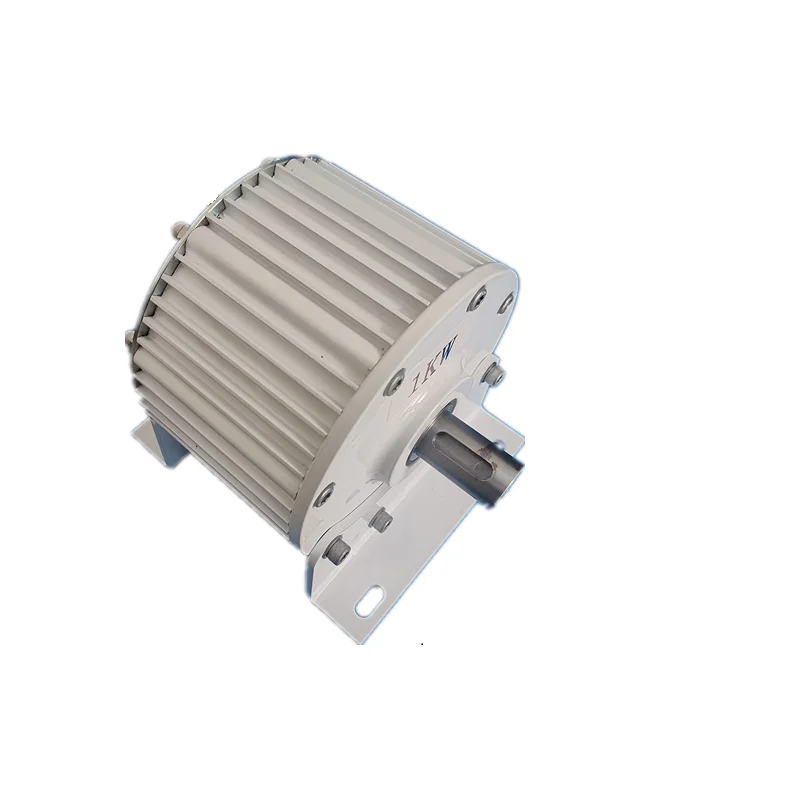 JSBCXNY Сюрприз цена 2000 Вт полная мощность генераторы портативный генератор питания