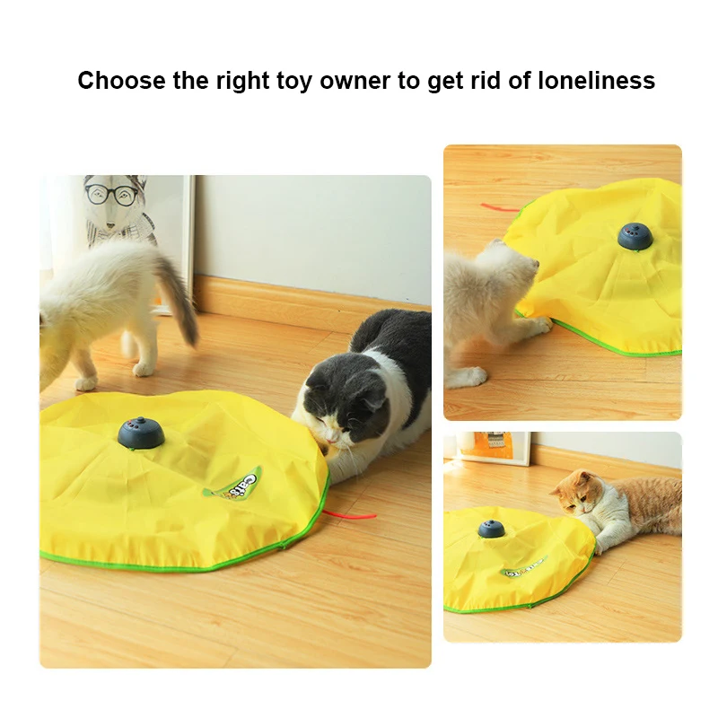 Electric Toy Cat 4 Speed Pet Plastic Turntable Interactive Intelligence Crazy Amusement Game Rotation Toys Accessories | Дом и сад