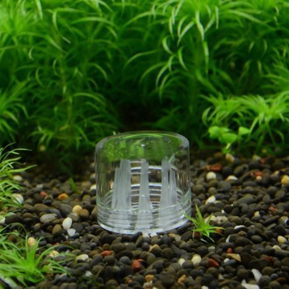 

8 Holes Acrylic Aquarium Tank Trap Tube Catcher Trapper for Catching Planaria Worm Leech Pet Product Vortex Insect Tube Trapper