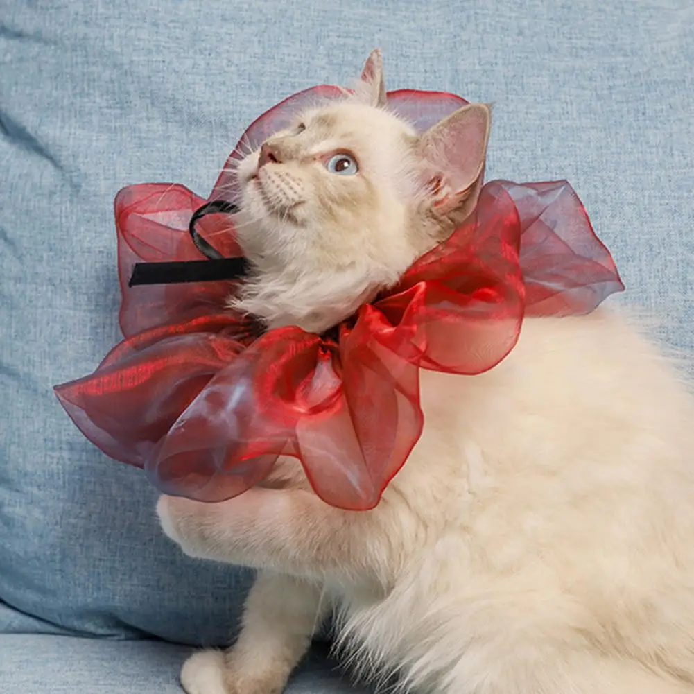 

Dogs Scarf Kitten Dogs Round Scarf Pet Neckerchief Beautiful Pet Scarf