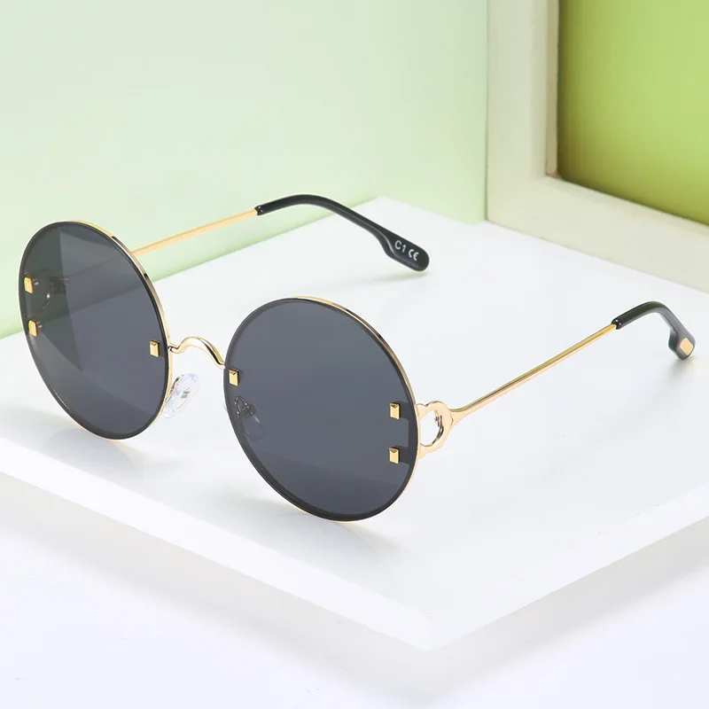 

Fashion Trim Polarized Sunglasses
