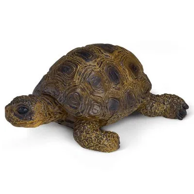 little turtle Настоящий зоопарк, джунгли, Животные фермы, модель серии 2, петух, коза, утка, Выдра, детские развивающие игрушки для детей, подарок - Цвет: little turtle