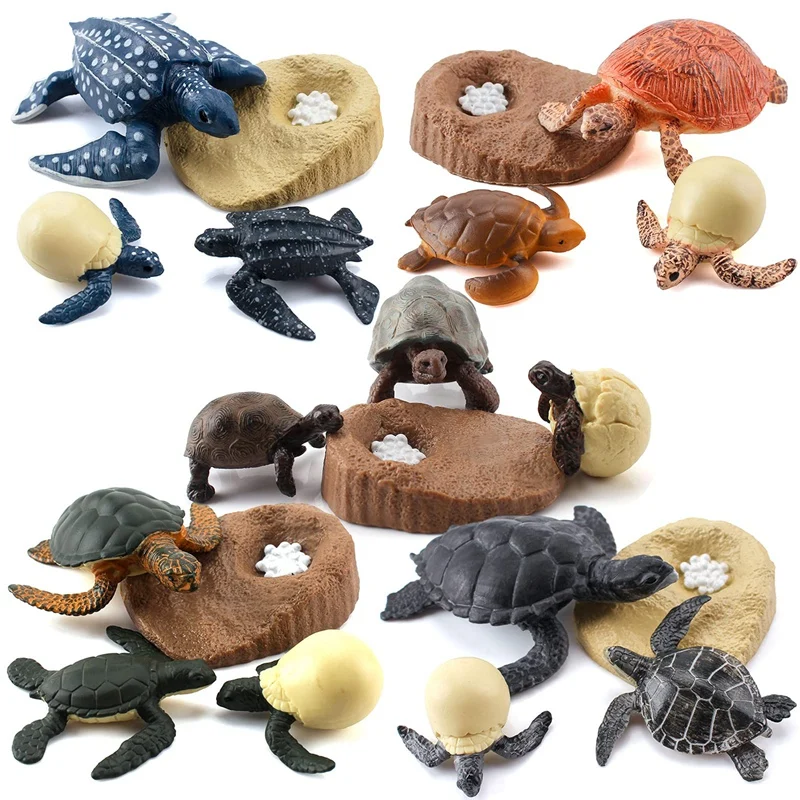 

20 PCS Sea Turtle Ocean Sea Marine Animal Model Figures Life Cycle,Simulation Animals Growth Cycle Educational Toys