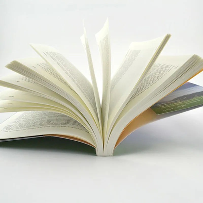 2 книги/набор Английский Оригинальный роман мировая Иностранная литература