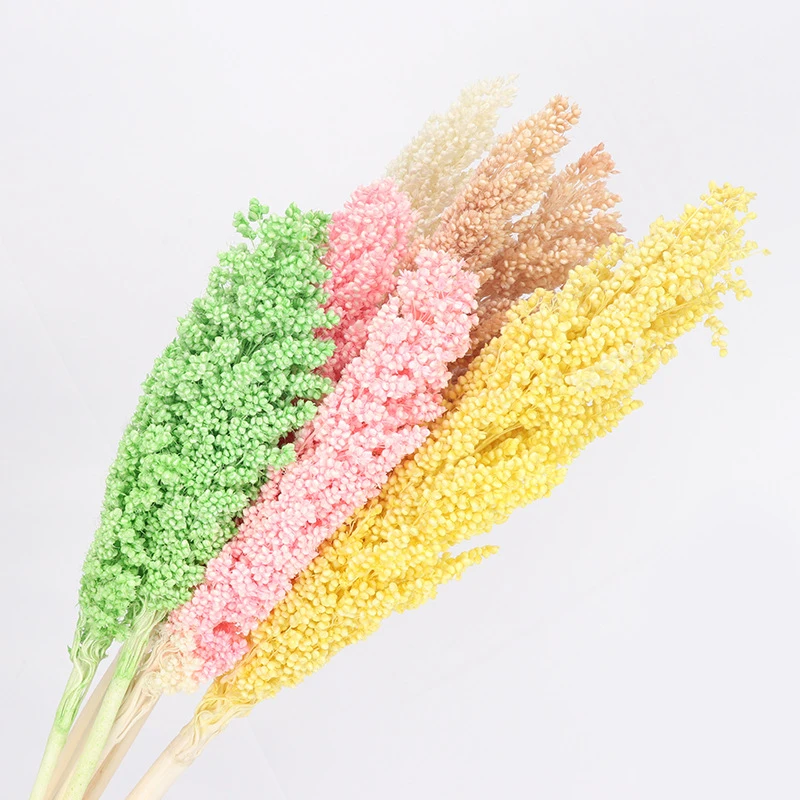

2pcs,Natural Dried Preserved Sorghum Ear Bouquet,Eternelle Display Flowers For Wedding Home Room Decoration Table Accessories