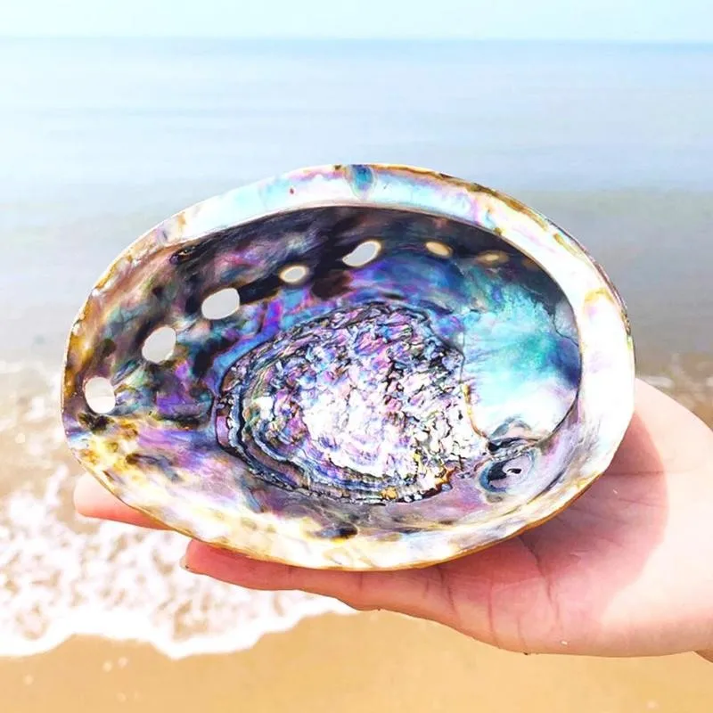 1pc 9-12cm Natural Bright Shiny Abalone Shell Nautical Blue Decor Seashells Fish Tank Aquarium Decoration Shells | Дом и сад