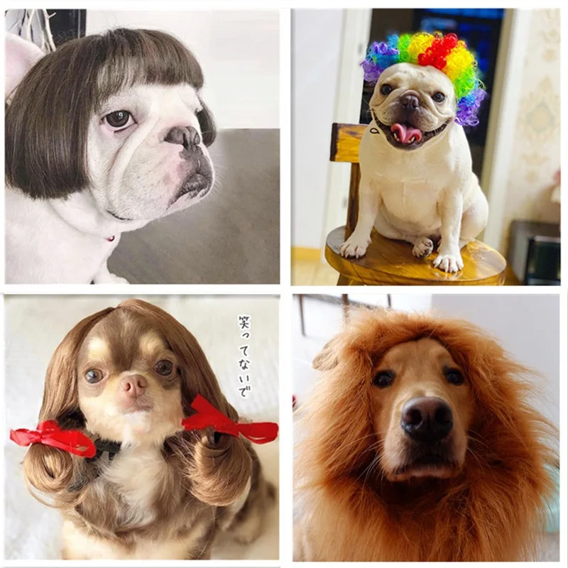 Peluca para mascotas, accesorios de Cosplay, conjunto de pelo para disfraz de gato, perro, fotografía, accesorios divertidos para la cabeza, suministros para mascotas