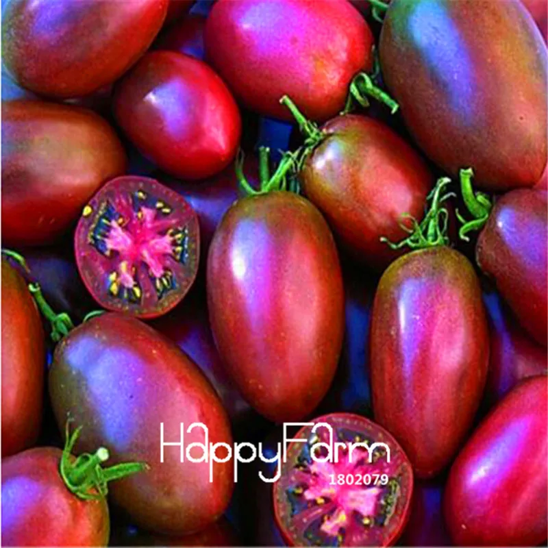 New Fresh 20 Pcs/Lot Rainbow Tomato Plants, bonsai organic vegetable& fruit Plantas,potted plant for home&garden