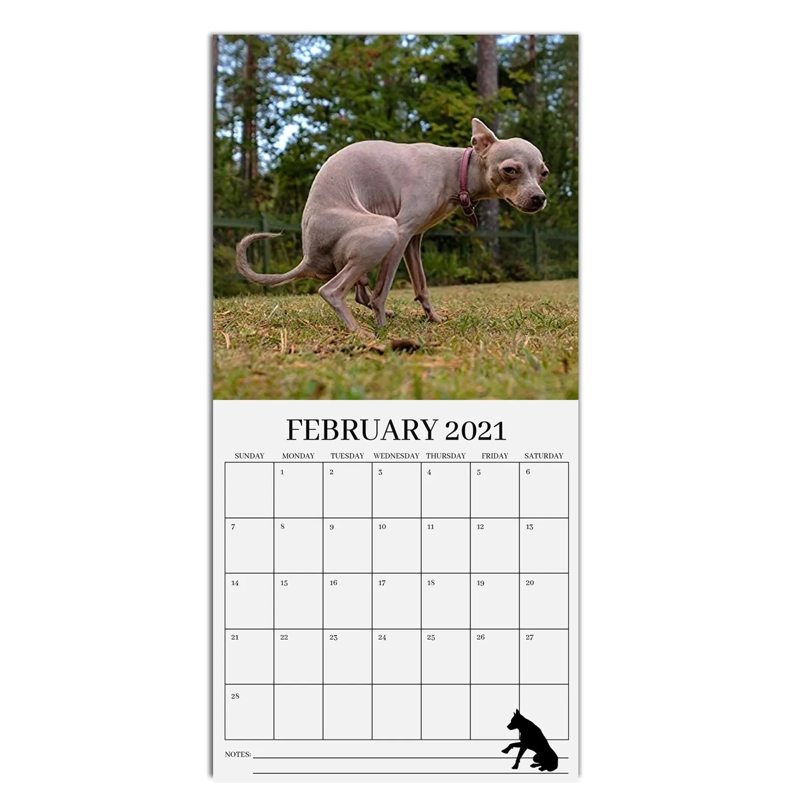 Календарь 2021 календарь с завитующими собаками настенный для белого слона | Дом и