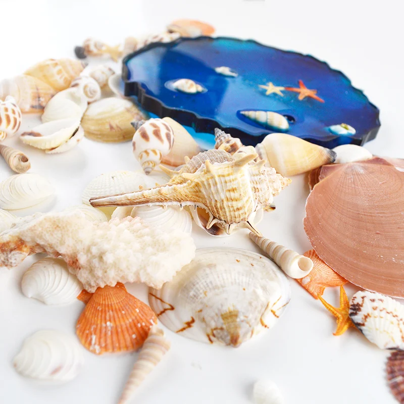Ракушки ручной работы чистые натуральные ракушки морские звезды материал для