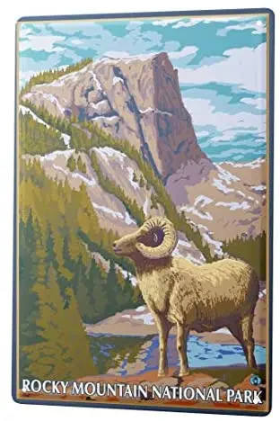 

Home Decoration Plaque Metal Plate Decoration Sign Global Traveler Rocky Mountain National Park Cafe Wall Decoration 8x12 Inches