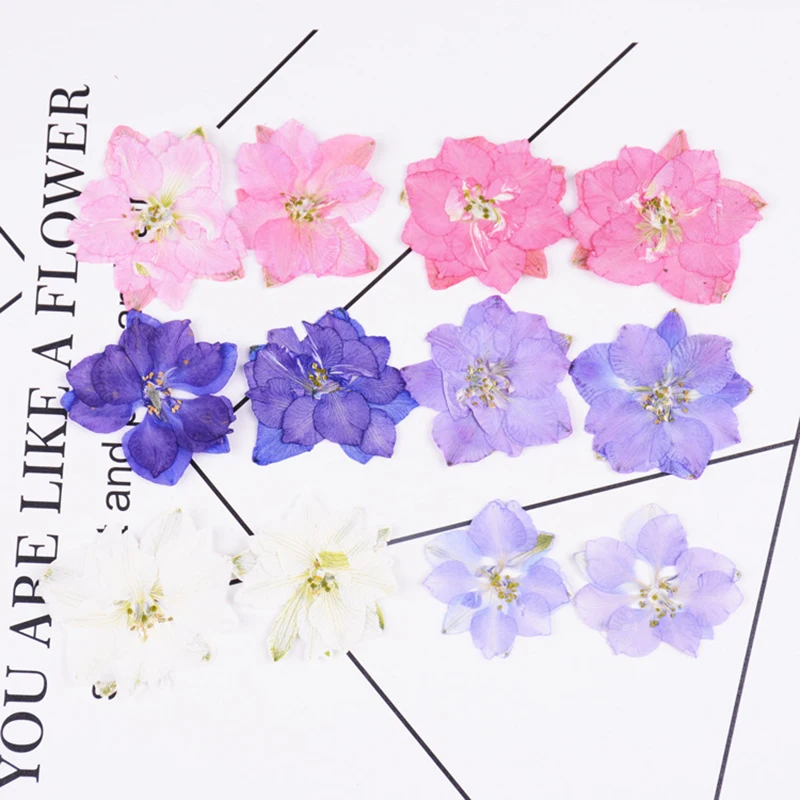 12 шт./упак. сохранить букет прессованные цветы маленькие сушеные для