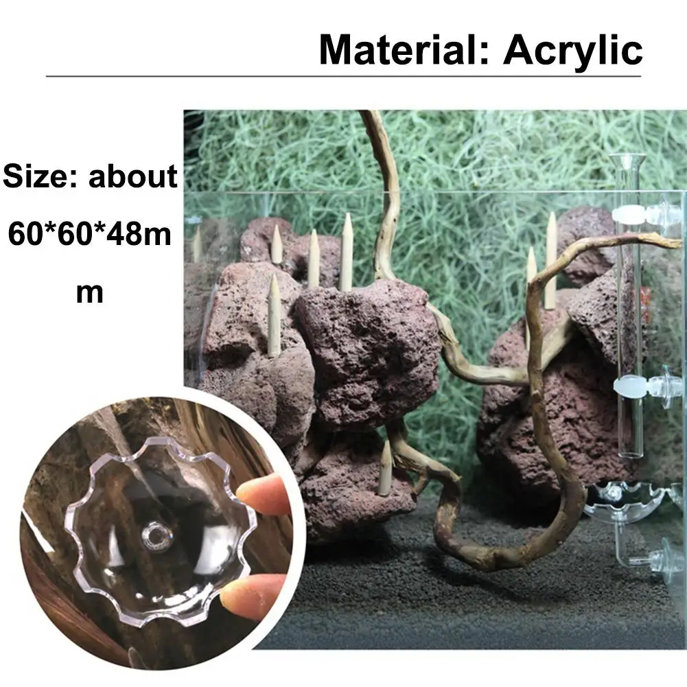 Новая аквариумная рыбка кормушка для креветок акриловый аквариум плавающая