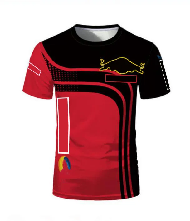 

F1 team downhill jersey, men's and women's F1 racing quick-drying T-shirt short sleeves, the same style is customized