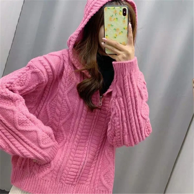 Элегантный женский свитер и кардиган в Корейском стиле Повседневный с капюшоном