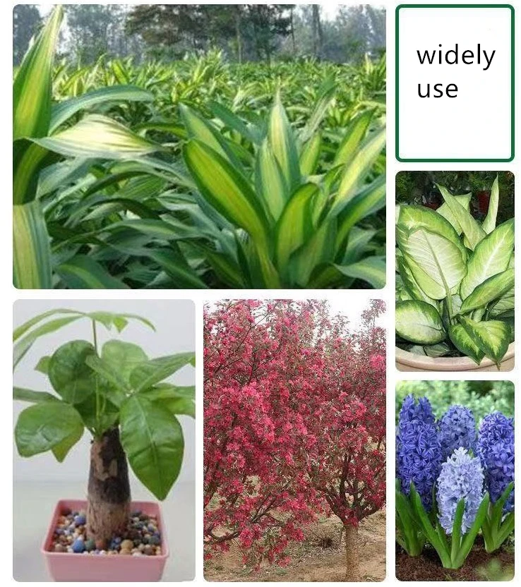 Универсальное органическое удобрение в горшках для цветов улучшает почву и