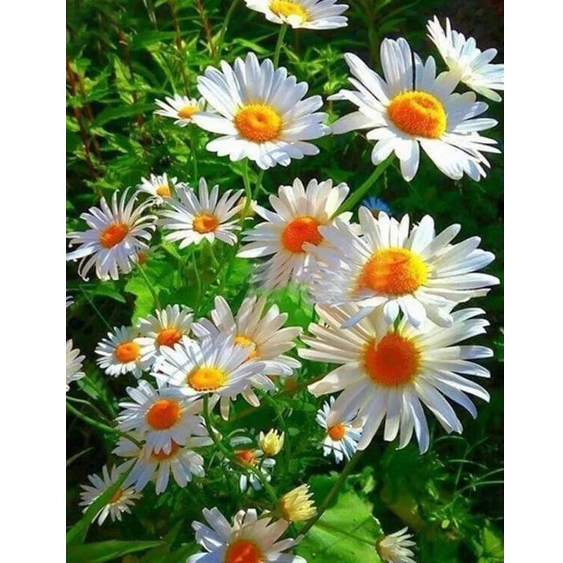 

Rhinestone Mosaic Diamond Painting,daisy,Flower Cross Stitch,mosaic Diamond Embroidery Sale Diamond Painting Crystal Arts Crafts