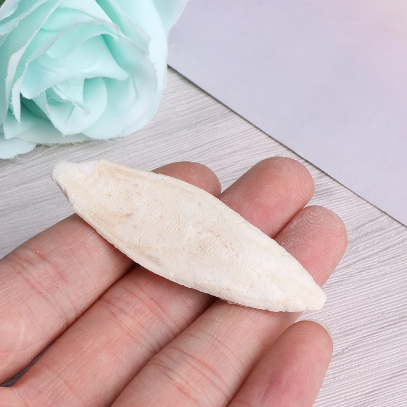 1 сумка Cuttlebone Каракатица сепия кости каракатицы Фиш птица Еда кальция Pickstone ПЭТ