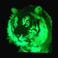 tiger head patch colour printing animal luminous heat transfer clothes stickers vogue noctilucent iron on patches for clothing