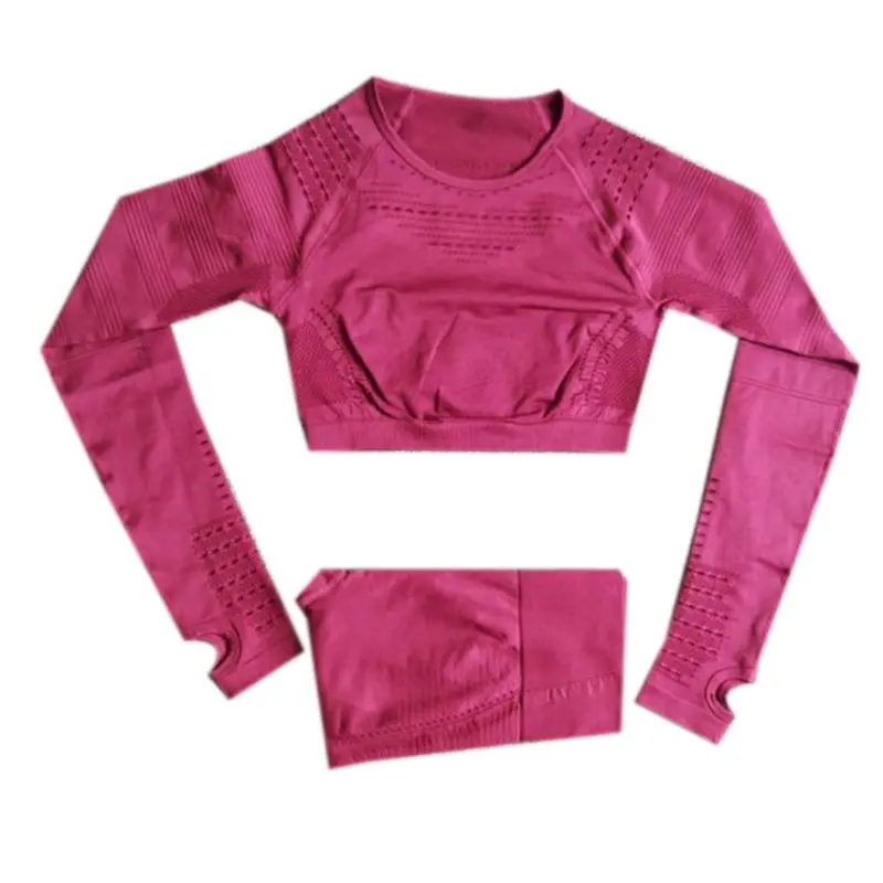 

Women Workout Yoga Outfit Long Sleeve Crop Top Legging Hollow Seamless Tracksuit