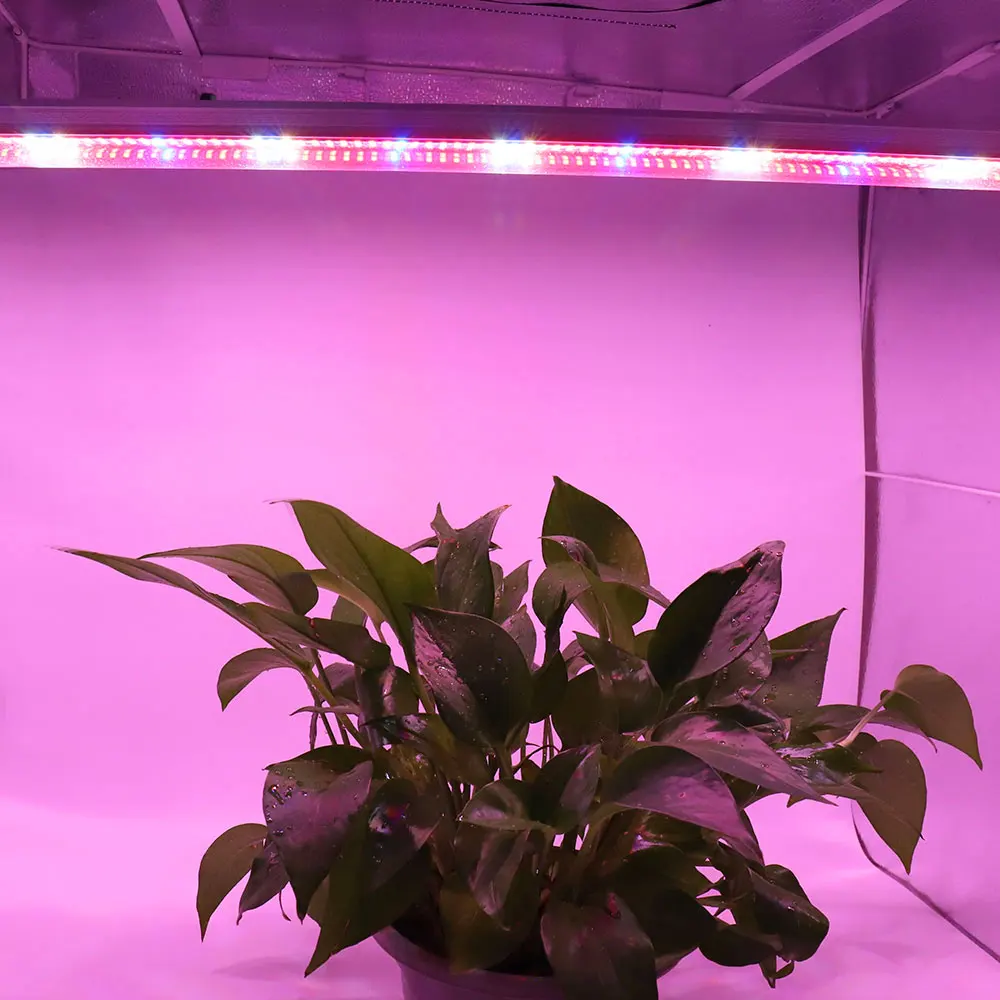 

3Pcs Full Spectrum LED Grow Light T8 Tube 1.2M/0.9M/0.6M Led Plant Growing Lamp Fitolamp For Greenhouse Flower Seeding Grow Tent