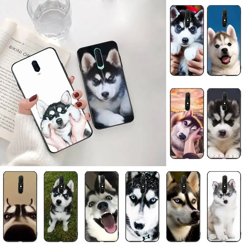 Милый Сибирского хаски собака чехол для телефона Oppo A5 A9 2020 Reno2 z Renoace 3pro A73S A71