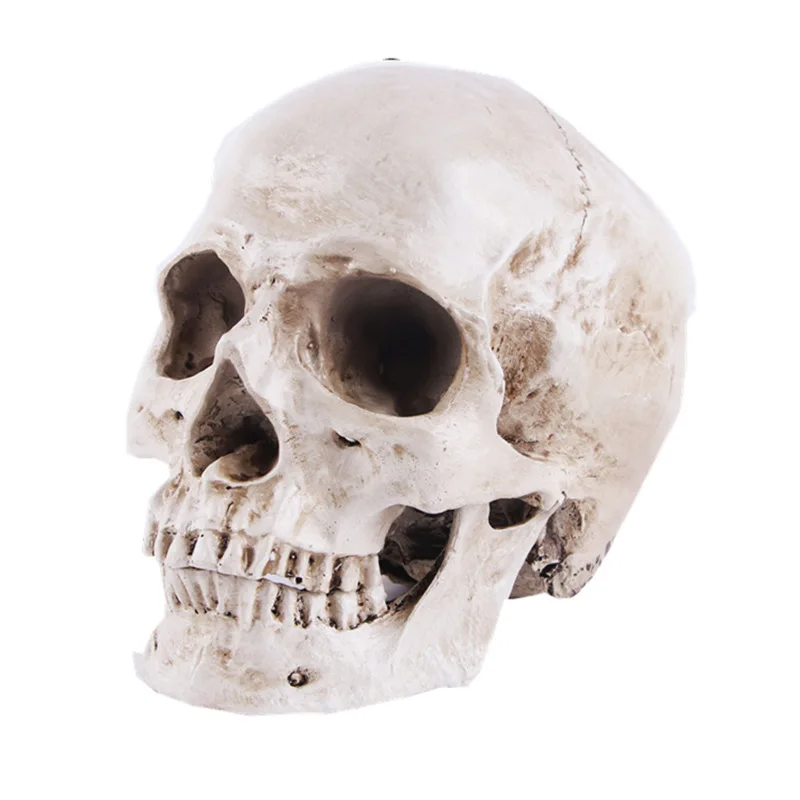 1:1 Skeleton Skull Model Sculpture Ornaments Pattern Resin Crafts Teaching Home Bar Death Symbol Art Decoration | Дом и сад