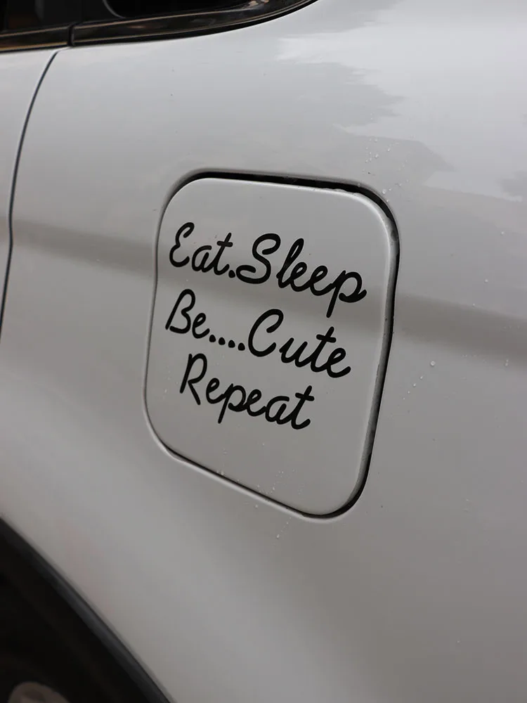 

ZTTZDY 14CM*11CM Funny Eating Sleep Be Cute Repeat Vinyl Waterproof Car Sticker ZJ2-0267
