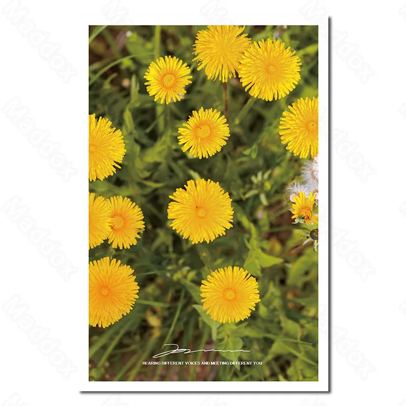 

Modern Canvas Painting Wall Art Fashion Yellow Flowers Little Daisy Personality Living Room Simple Creative Decorative Painting