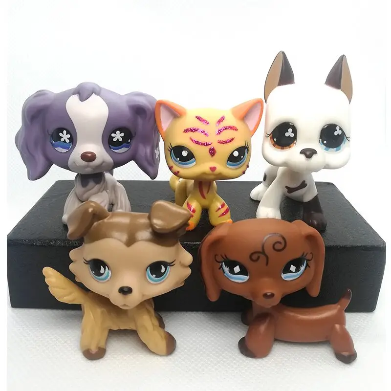 Игрушки для домашних животных 5 шт. игрушки с короткой шерстью колли Такса