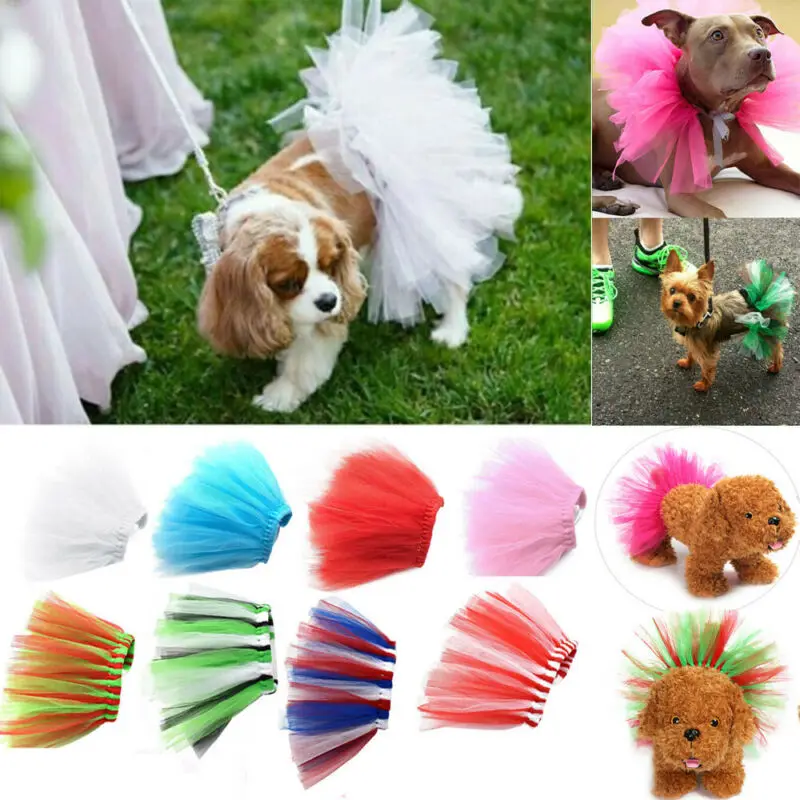 Бабочки для домашних собак платье пачка девочек Юбка с кружевом щенок собачья
