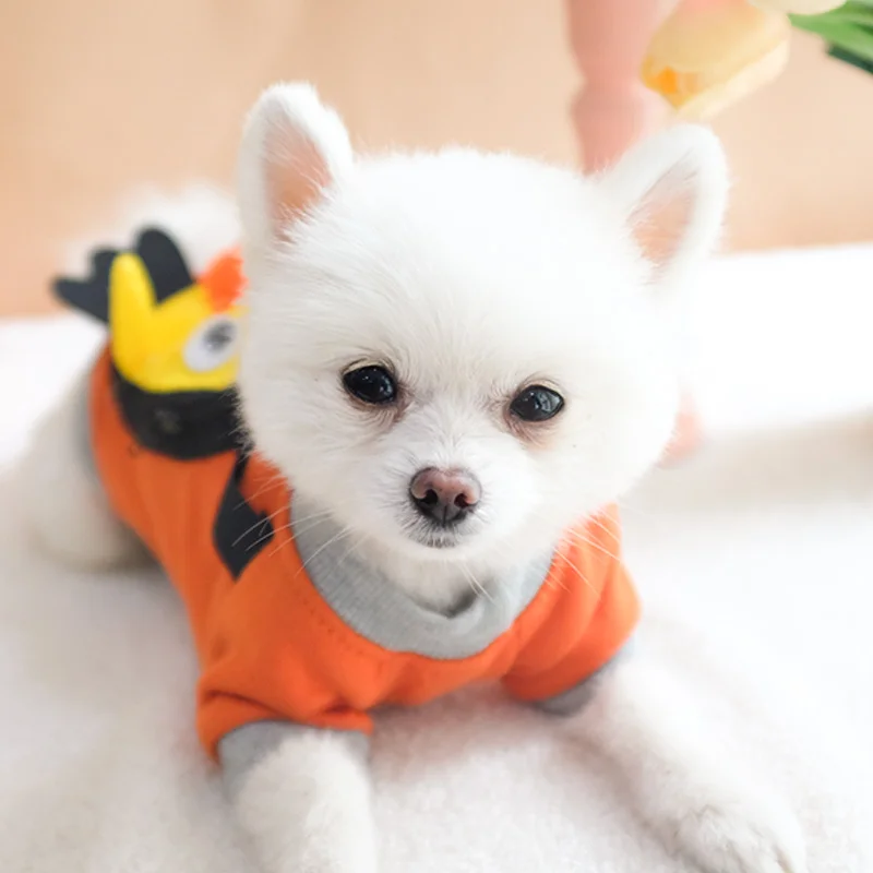

CX Puppy Dog Cat Clothes Spring and Autumn Thin Pet Autumn/Winter Clothes