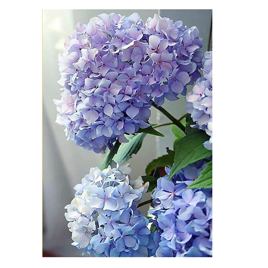 

Hydrangea Flower 5D DIY Diamond art 3D Diamond painting Kit cross stitch full square diamond mosaic photo home decor