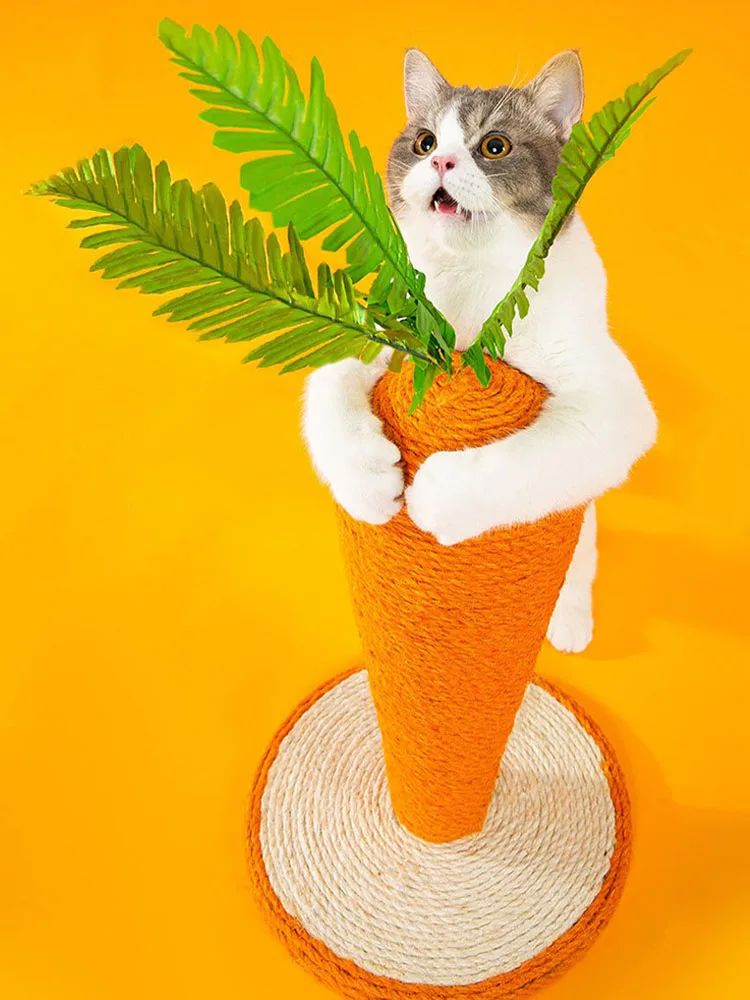 

Pet Products