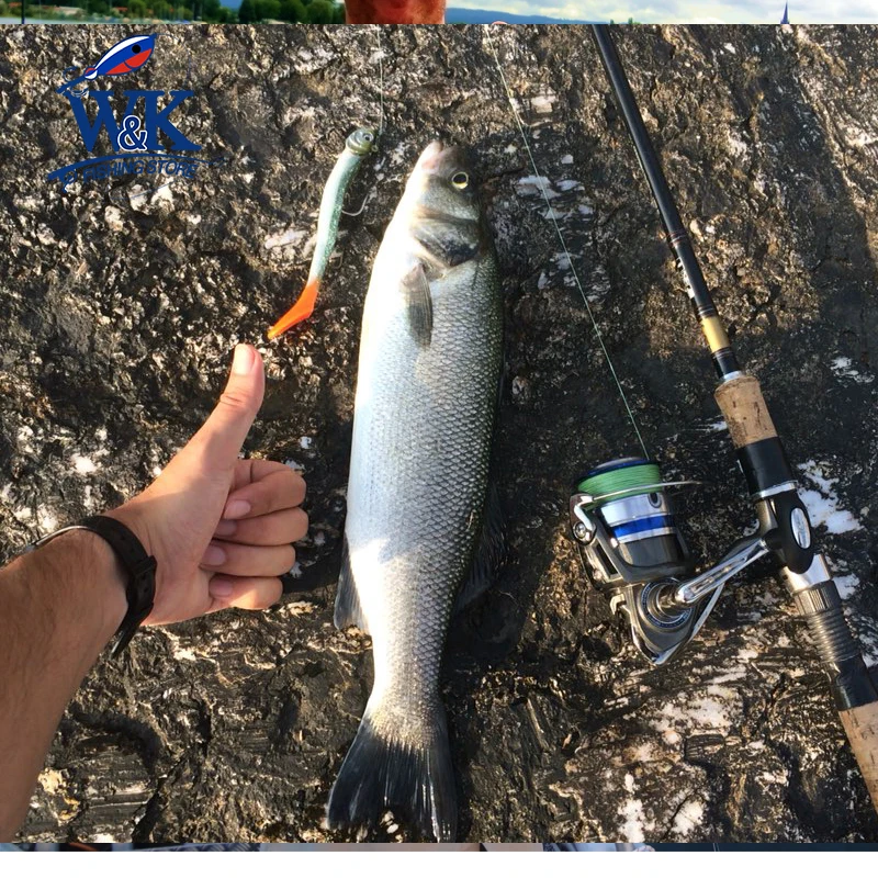 5pcs 10cm Soft Bait Big Paddle Tail Shad for Pike Zander Freshwater Fishing Lures Eel Swimbait Colorful Soft Lure images - 6