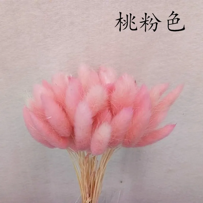 60 шт. кролик трава памп засушенные цветы Кролик хвост натуральные растения