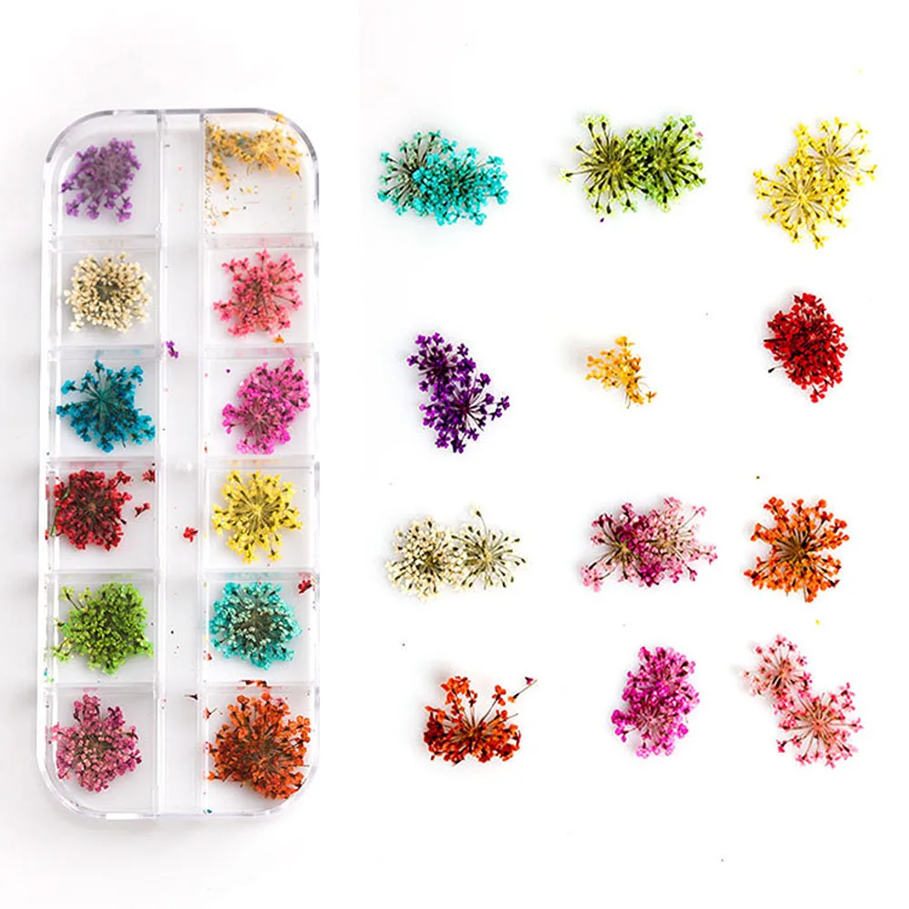12Grids/Box Real Dry Flower Nail Art Decoration Natural Floral Sticker Leaf Decals UV Gel Polish 3D Preserved Nail Dried Flowers