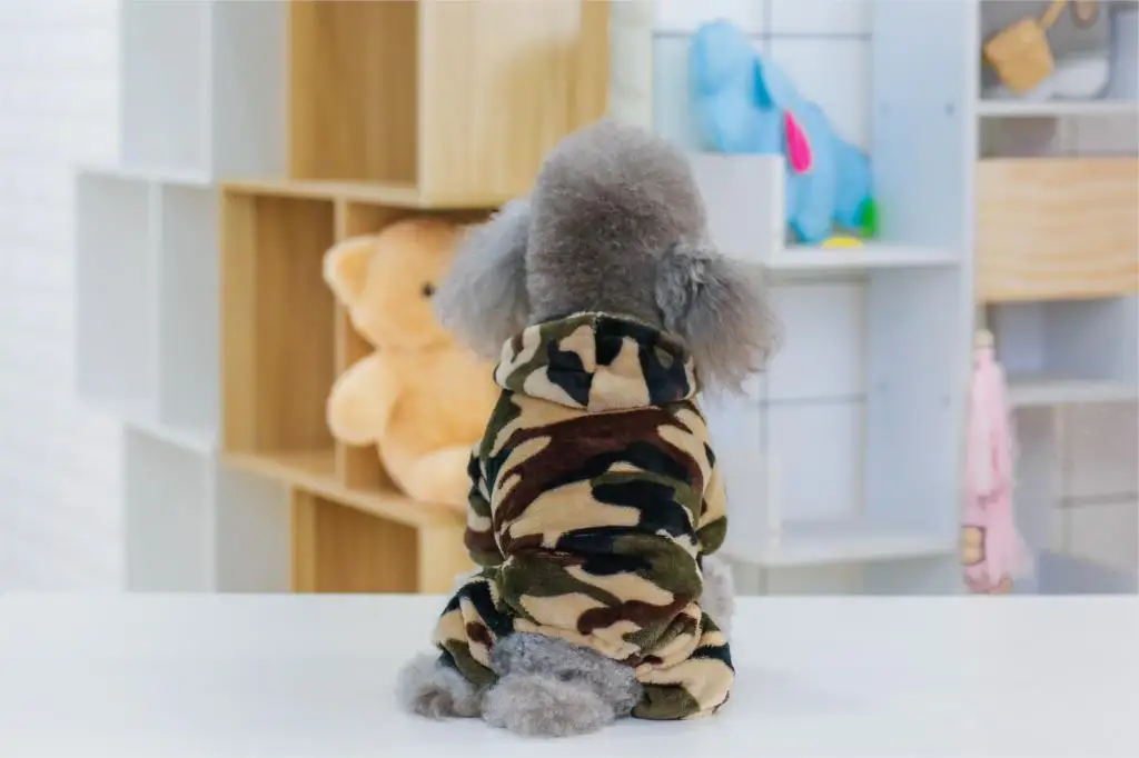 Зимняя теплая одежда для щенков чихуахуа йоркширская мягкое пальто питомцев